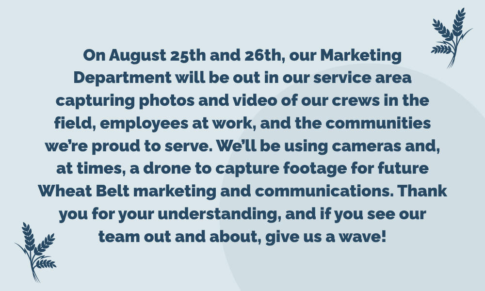 Marketing Department Out in the Field