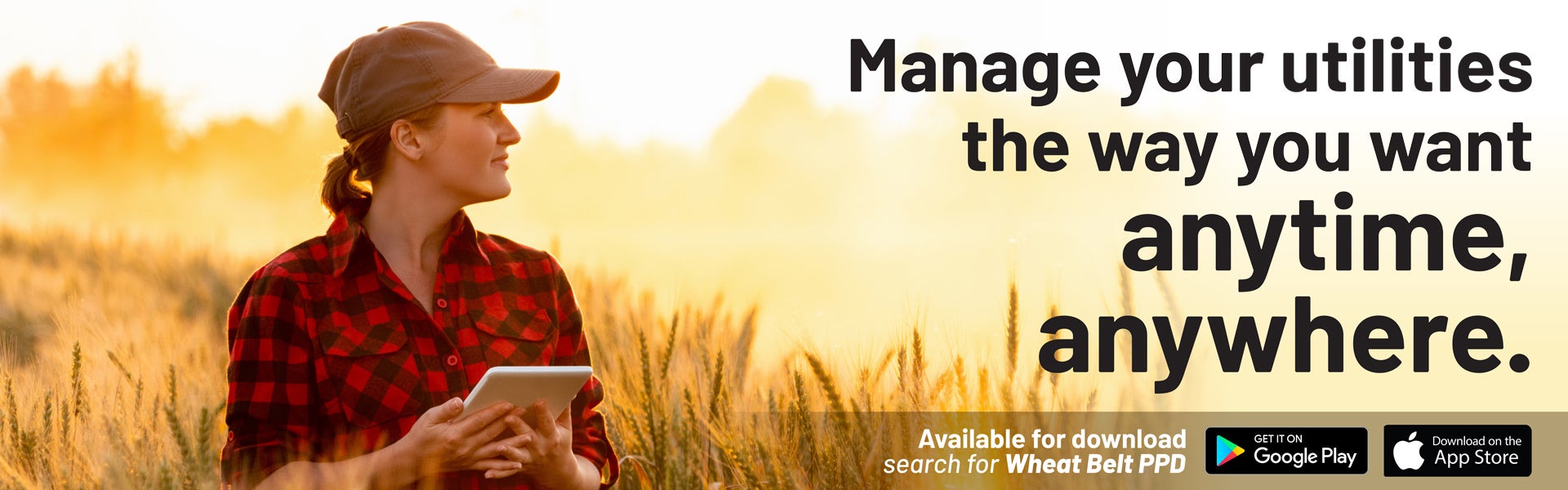 Woman in a wheat field on her tablet